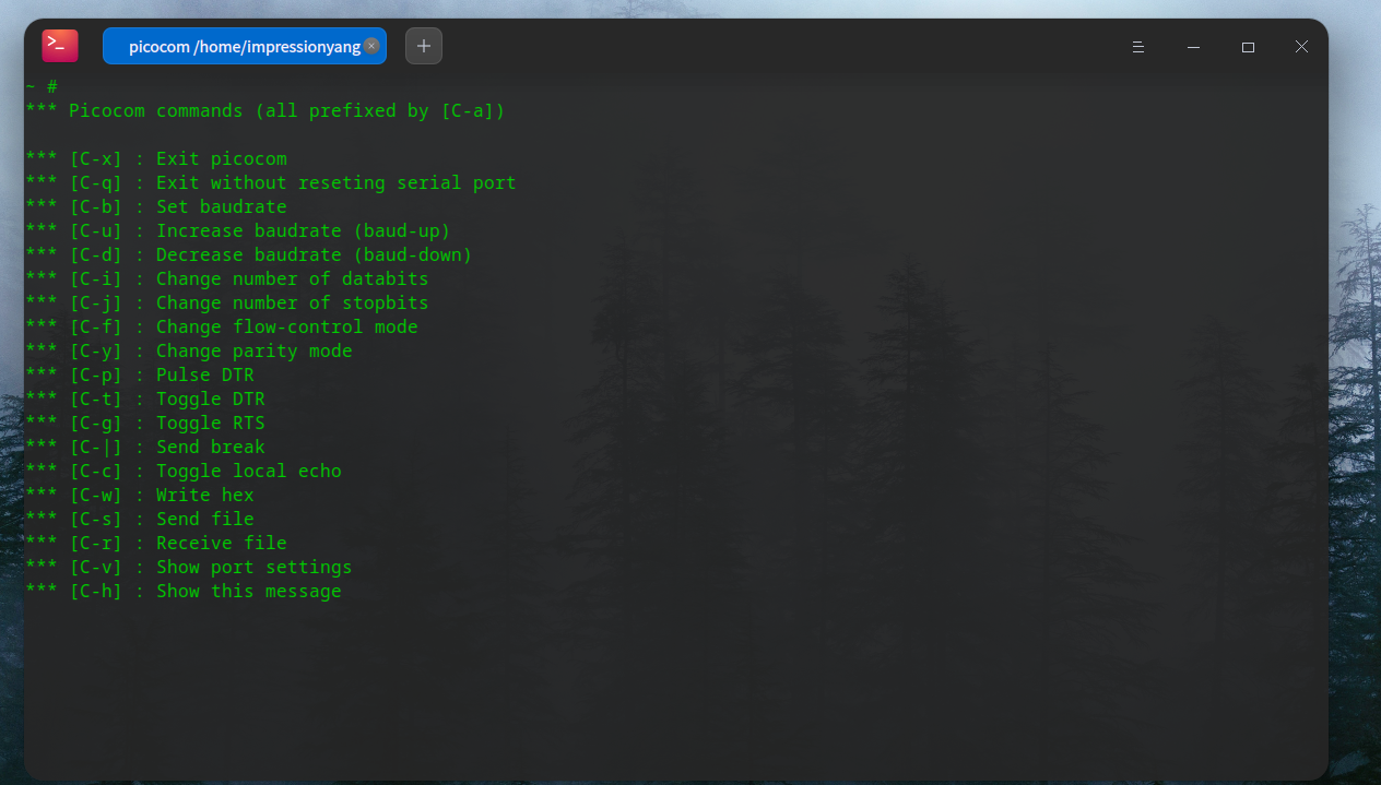 picocom get help